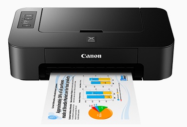 CANON PIXMA TS207 (PRINT ONLY) product image